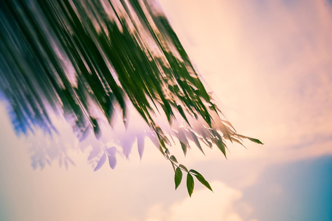 夏季在野外遭遇自然灾害，如何全身而退